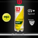 Pelotas de Tenis Wilson Championship Regular Duty en Envase 3 unidades (T1003)