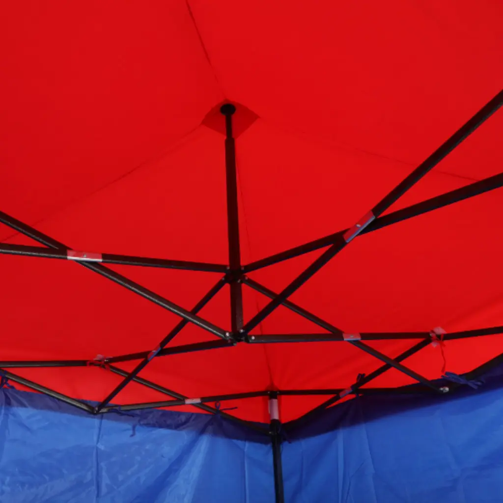 Proyecto nuevo (2).webp