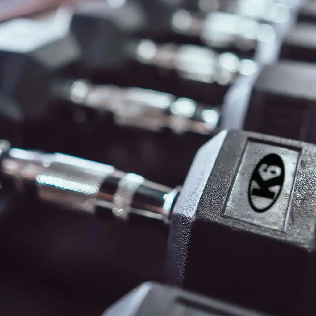 Proyecto nuevo (2).webp