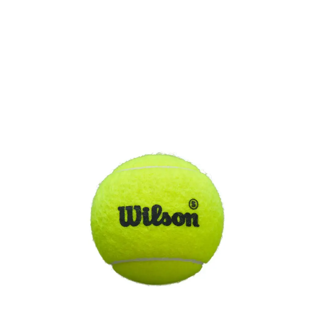 WR8908501_2_Premier_Padel_3Ball_Can_Gold_Yellow.png.cq5dam.web.1200.1200.webp