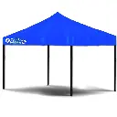 Proyecto nuevo (1).webp