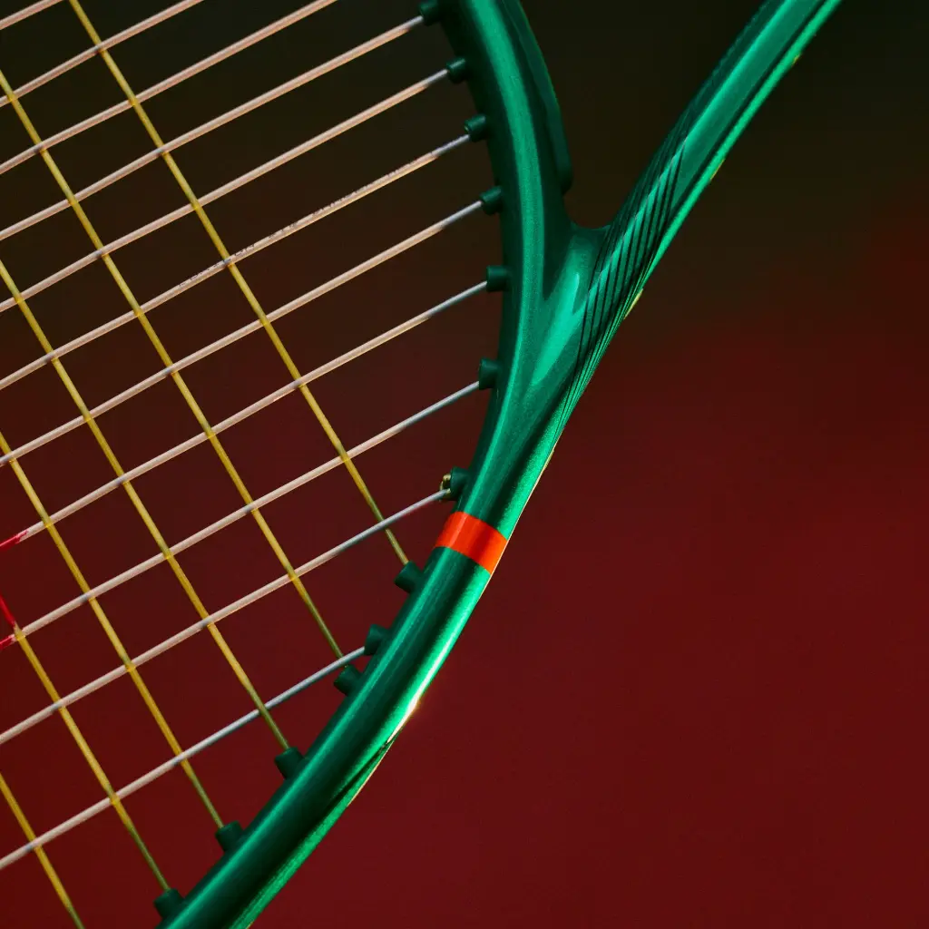 Proyecto nuevo (10).webp