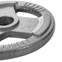 Disco de pesas standard hierro K6 2.5 kg