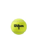 Pelotas de Tenis Wilson Roland Garros Official Envase de 3 Unidades (T1250)