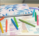 Plumígrafo Paper Mate Flair Candy Pop Tx6