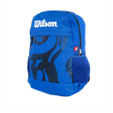 Morral Wilson Plasm Universitario