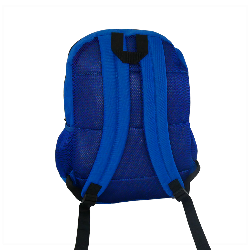 Morral Wilson Plasm Universitario
