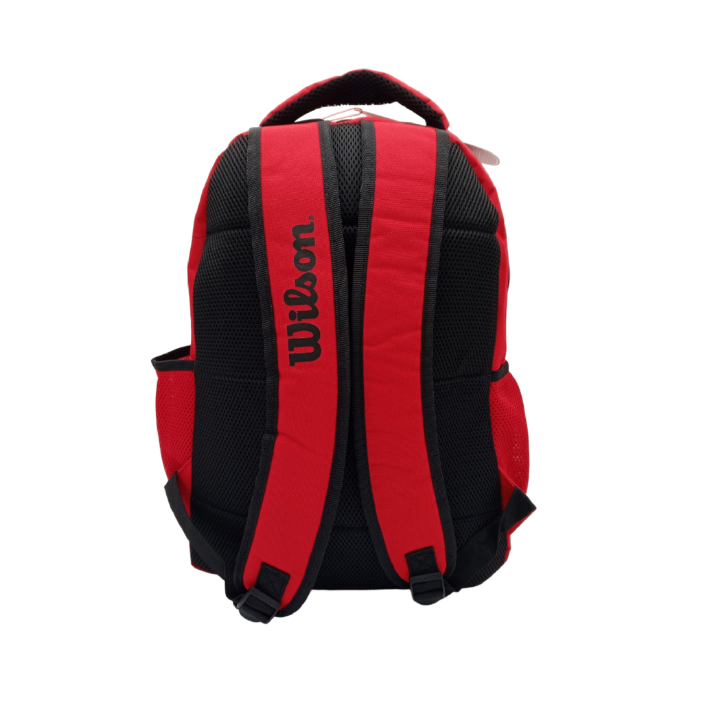 Morral Ejecutivo Wilson Lagos