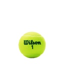 Combo Pelotas de Tenis Transicion Wilson Punto Verde 3P X 12T