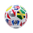 Balón de Fútbol Promocional Banderas America 2024 No.5