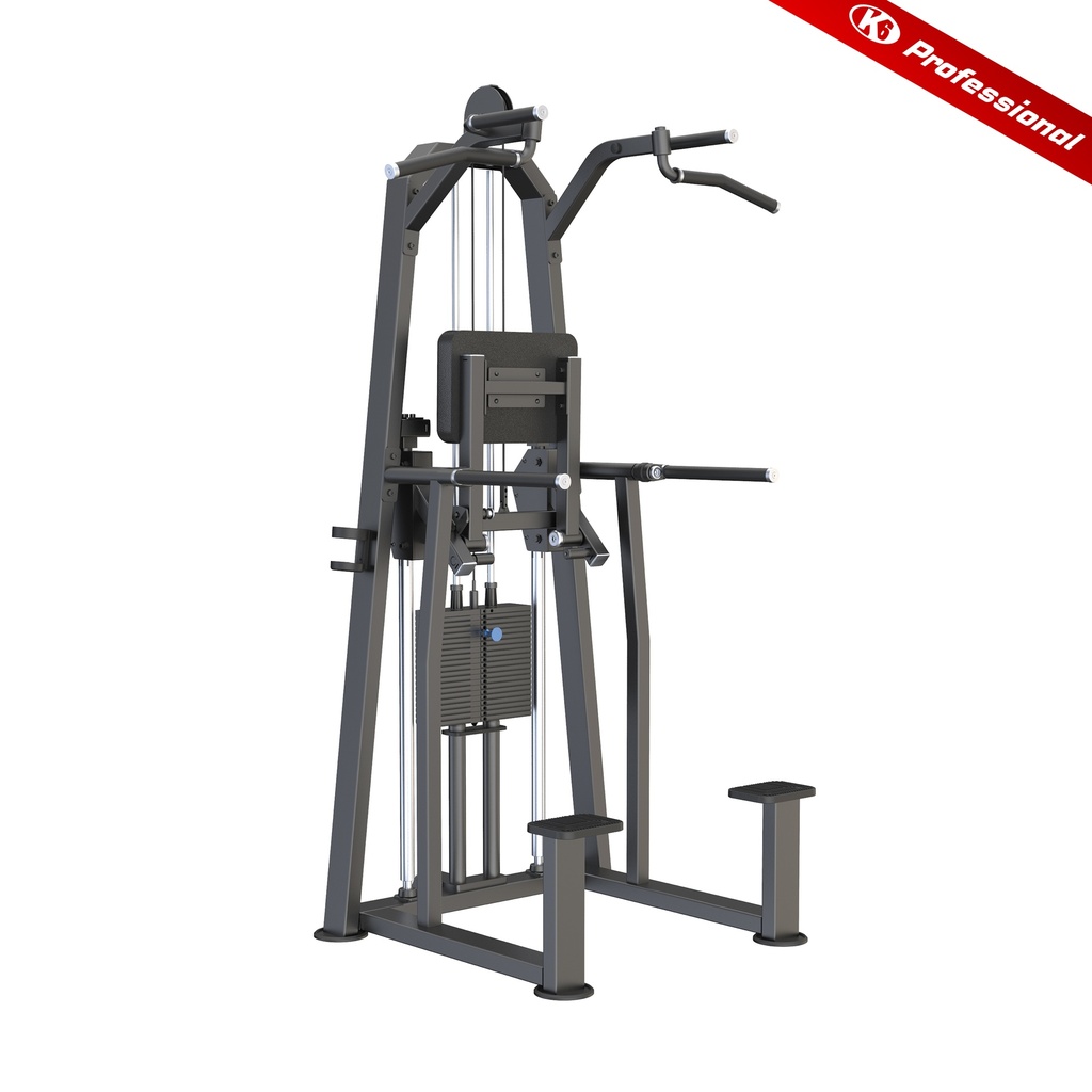 Maquina de dominadas y paralelas asistidas K6 Professional Evolve