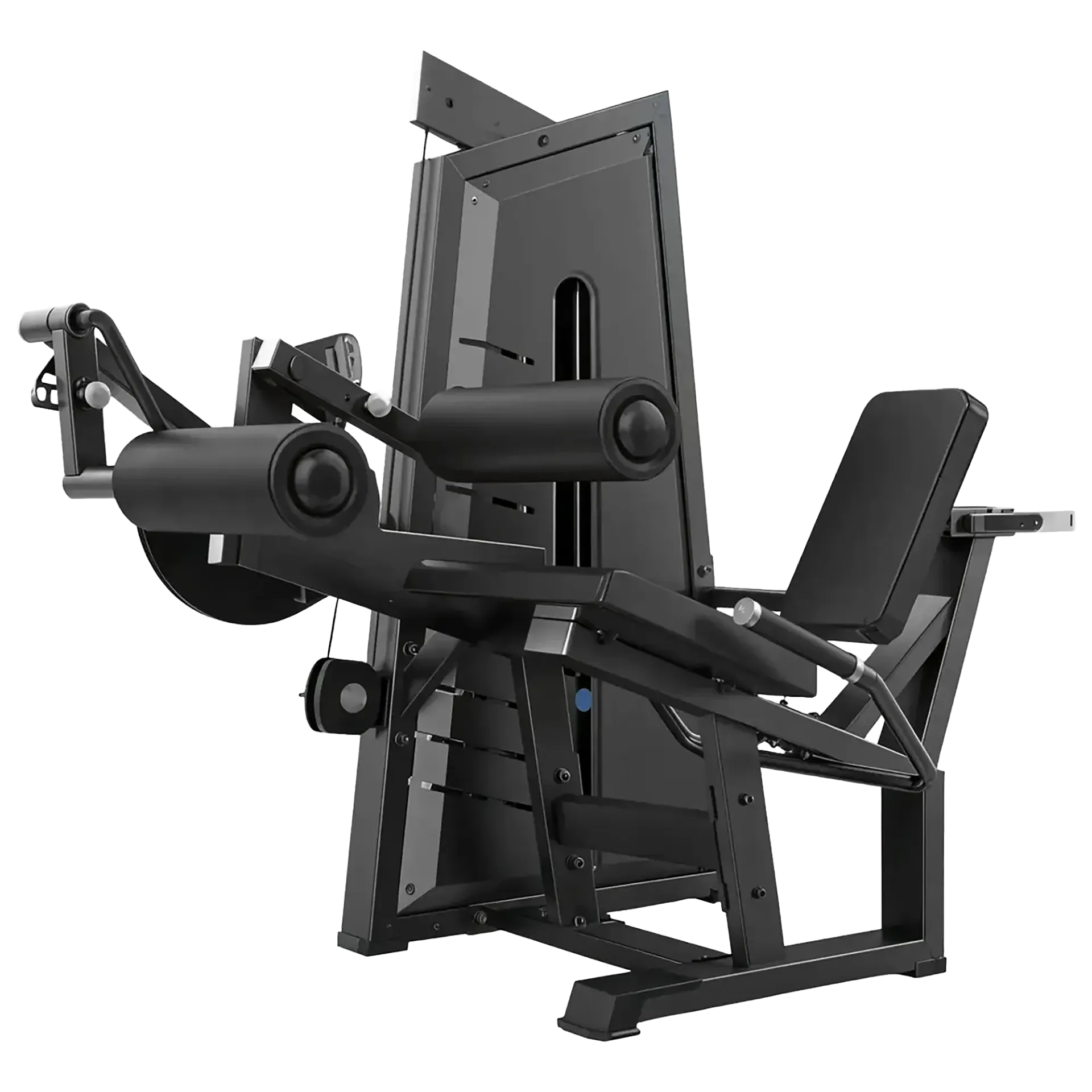 [69635] Maquina de flexion de piernas K6 Professional Radical