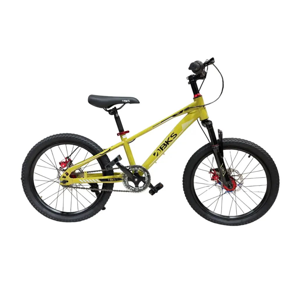 Bicicleta Rin 20 BKS Dash de Niño