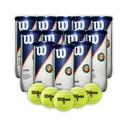 Combo Pelotas de Tenis Wilson Roland Garros 3P X 12T