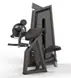 Maquina curl de triceps K6 Professional Radical 110 kg