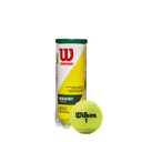 Tarro x3 Pelotas de Tenis Wilson Championship Regular Duty