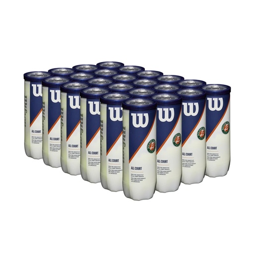 [COMBOWR8204601001TX24] Caja de Pelotas Tenis Wilson Roland Garros TX24